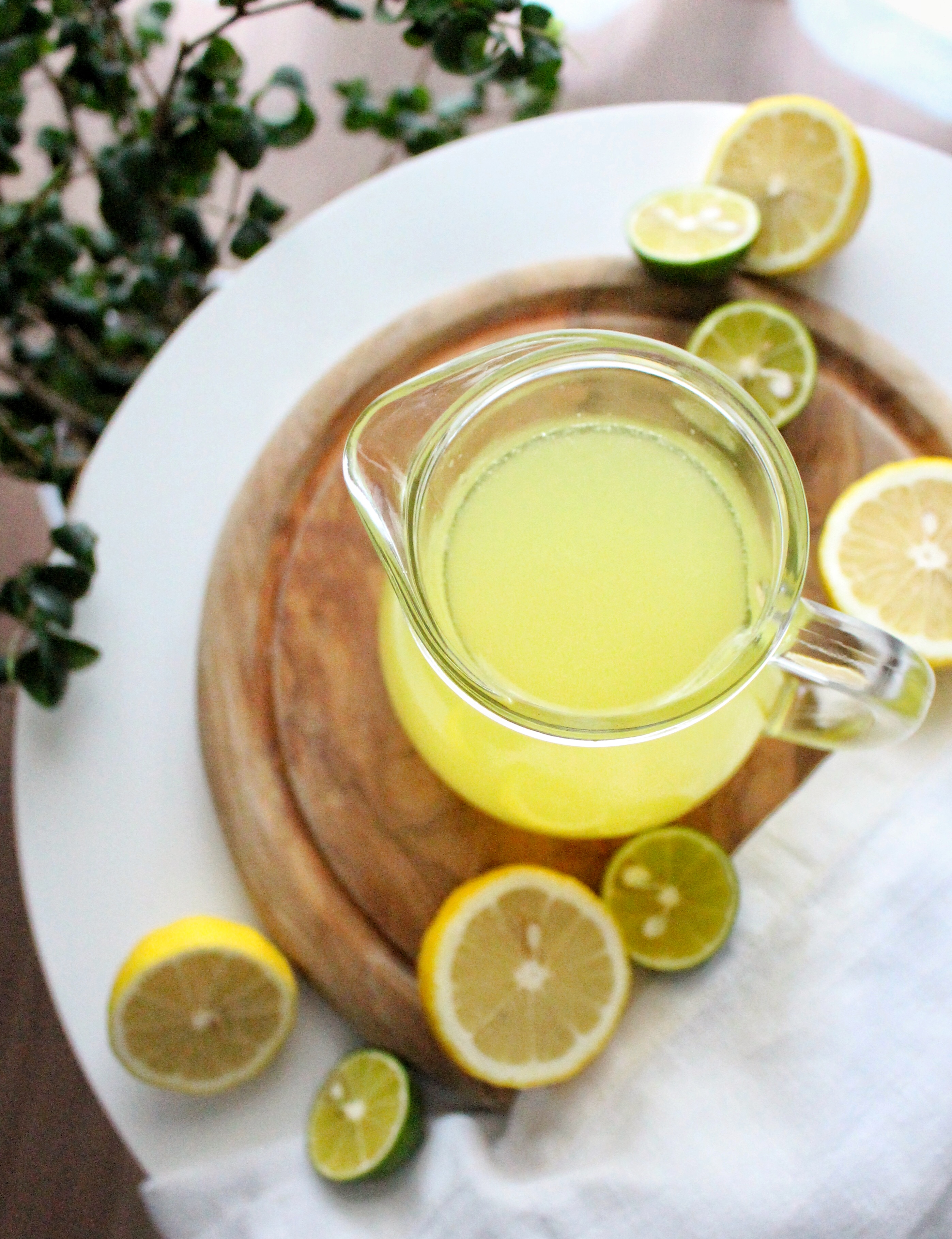 Fresh Homemade Lemonade Syrup INDY ASSA